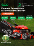 Олеся Родина