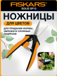 Антон Иванов