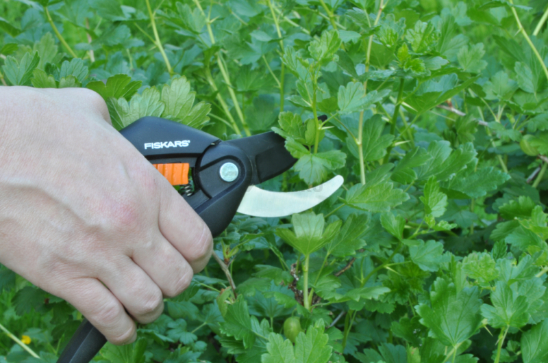 Секатор плоскостной FISKARS Single Step (1000567) - Фото 2