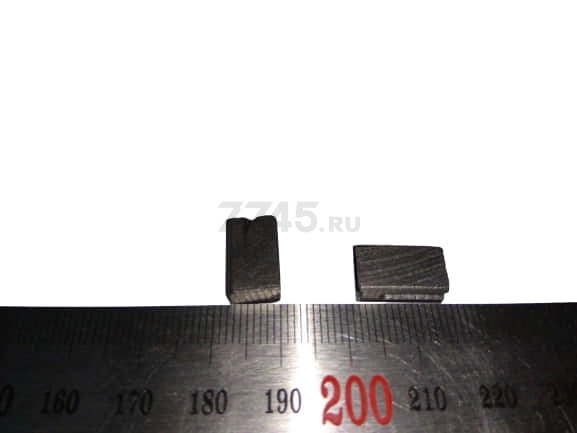 Щетки угольные для реноватора WORTEX SM 3233 QE 2 штуки (R5102-38) 