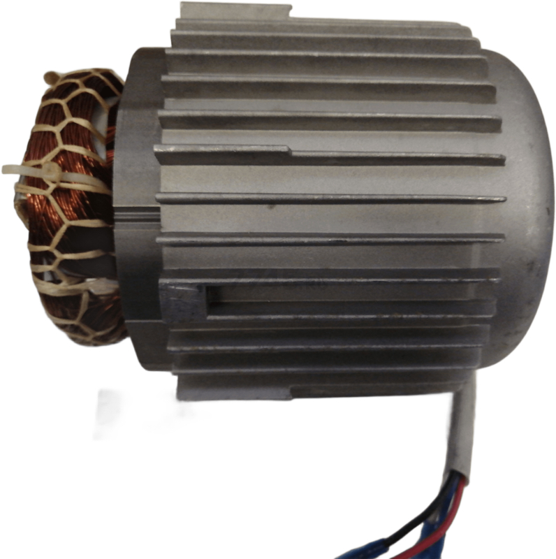 Двигатель в сборе для насоса ECO DP-606 (106390)
