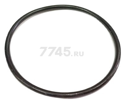 Кольцо крышки фильтра для насоса ECO GFP-1200 (53713-24-02)