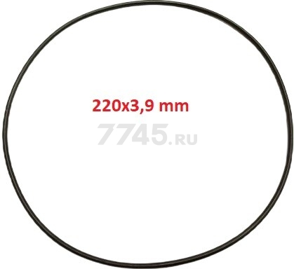 Кольцо уплотнительное крышки насоса для мотопомпы ECO WP-1204C (WP-1204C-15)