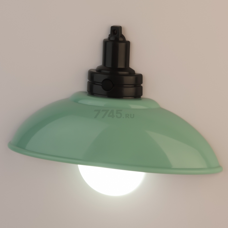 Ночник декоративный светодиодный ЭРА NLED-487-1W-SW-GR зеленый - Фото 6