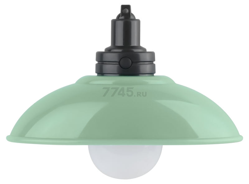 Ночник декоративный светодиодный ЭРА NLED-487-1W-SW-GR зеленый