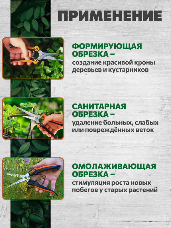 Секатор плоскостной STARTUL GARDEN (ST6410-05) - Фото 4