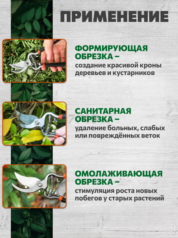Секатор плоскостной STARTUL GARDEN (ST6410-04) - Фото 3