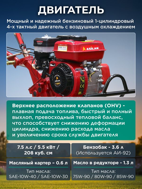Культиватор бензиновый ASILAK SL-85BL с колесами 4.00-8 (AS2315-1) - Фото 4