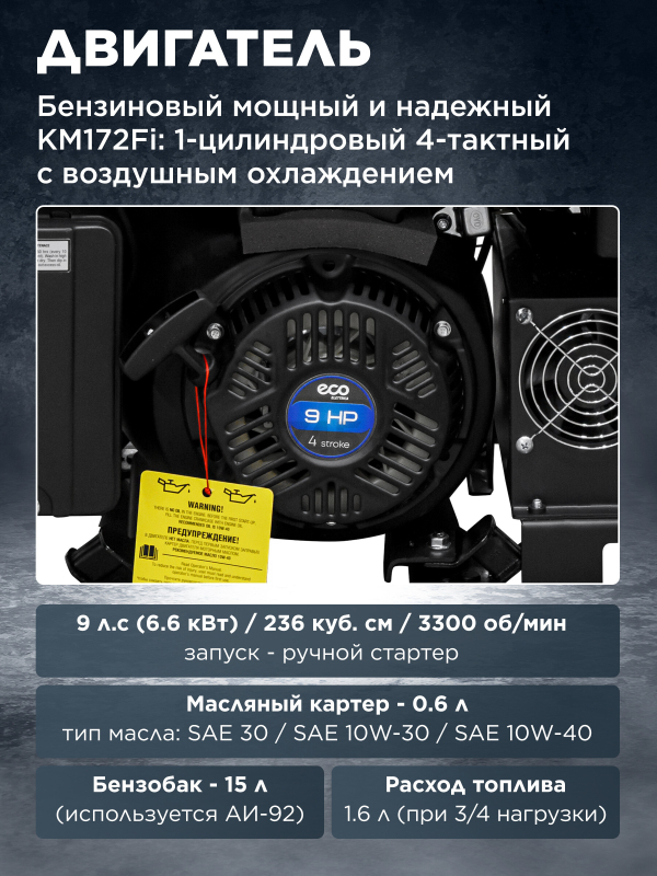 Генератор сварочный бензиновый инверторный ECO PE-210RWI (EC1710-4) - Фото 5