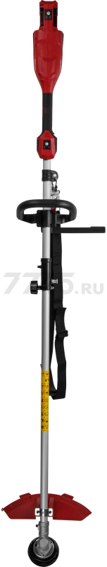 Триммер аккумуляторный WORTEX TB 3036-1 ALL1 XLT SET (1334872) - Фото 9
