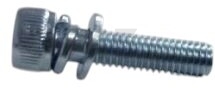 Винт M5х10 с шайбой и гровером для бензокосы 43/52см3 RIPARTS (GTP-SM5*10)