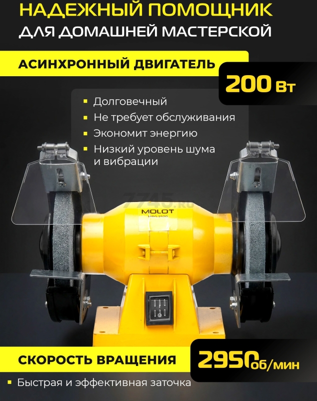 Станок точильный (точило) MOLOT MBG 1520 (2322041) - Фото 3