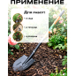 Лопата штыковая STARTUL Garden (ST6085-03) - Фото 3