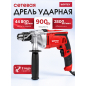 Дрель ударная WORTEX DS 1609-1 (DS160910025)