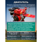 Культиватор бензиновый ASILAK SL-186L - Фото 3