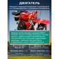 Культиватор бензиновый ASILAK SL-186L (SL-186L-6512) - Фото 4