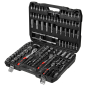 Набор инструментов 1/4", 1/2", 3/8" 6 граней 172 предмета PRO STARTUL Stuttgart (PRO-172S) - Фото 2