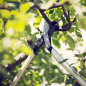 Сучкорез FISKARS LX94 PowerGear X средний (1020187) - Фото 11