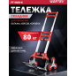 Тележка складная WORTEX FT 1080-6 (1323380)