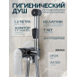 Гигиенический душ (смеситель для псевдобиде) AVAPAX серия Weser хром (AP04138C)