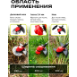 Триммер аккумуляторный WORTEX TB 3018-1 AT ALL1 XLT SET (1333547) - Фото 3