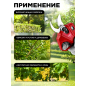 Секатор аккумуляторный WORTEX CBS 2030 ALL1 SOLO (1329774) - Фото 4