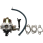 Карбюратор для двигателя 168F 170F RIPARTS серия PRO (FMS-01383-1)