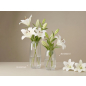 Ваза для цветов PERFECTO LINEA Beloved 20х10 см (30-850210) - Фото 3