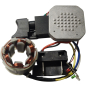 Статор в сборе для дрели-шуруповерта MOLOT MBD1215Li (MBD1215LI-25-27)