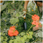 Совок садовый FISKARS OneClick (1080693) - Фото 7