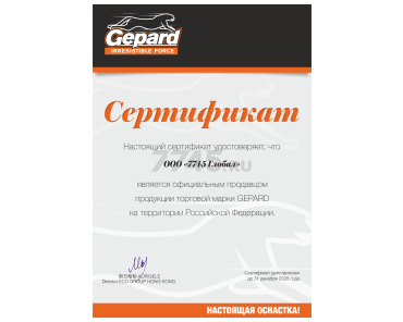 Пример сертификата