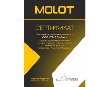Пример сертификата