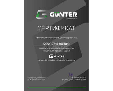 Пример сертификата