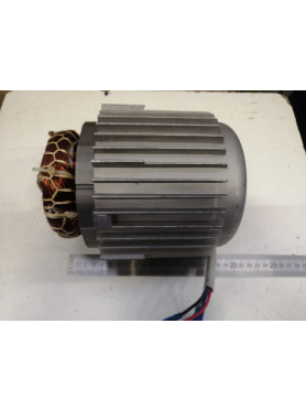 Двигатель в сборе для насоса ECO DP-606 (106390)