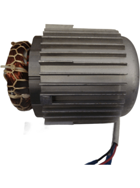 Двигатель в сборе для насоса ECO DP-606 (106390)