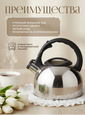 Чайник со свистком PERFECTO LINEA Magnum 2,5 л 