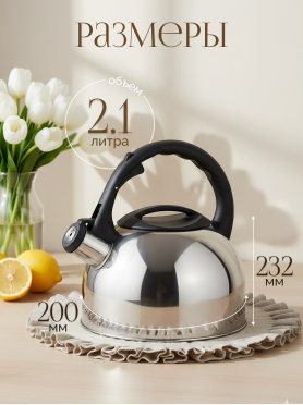 Чайник со свистком PERFECTO LINEA Magnum 2,5 л 