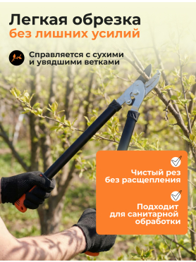 Сучкорез STARTUL Garden 