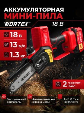 Пила цепная аккумуляторная WORTEX CEC 2518 XLT SET 
