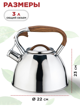 Чайник со свистком PERFECTO LINEA Ceylon 3 л 