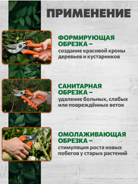 Секатор плоскостной STARTUL GARDEN 