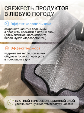 Термосумка 21,5х13х25 см ARIZONE 