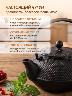 Заварочный чайник чугунный PERFECTO LINEA 800 мл 