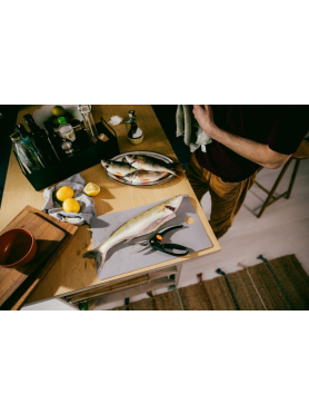 Ножницы для рыбы FISKARS FF 22 см 