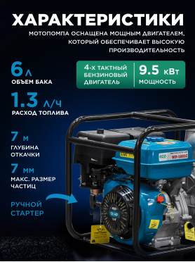 Мотопомпа ECO WP-1601C 
