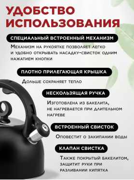 Чайник со свистком PERFECTO LINEA Eclipse 3 л 