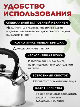 Чайник со свистком PERFECTO LINEA Nilgiri 3 л 