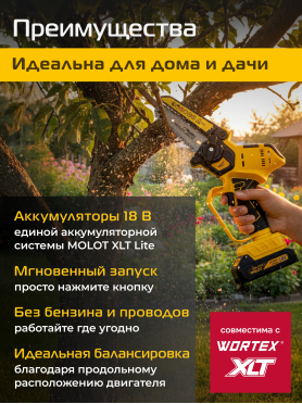 Пила цепная аккумуляторная MOLOT MMS 1805 XLT Lite
