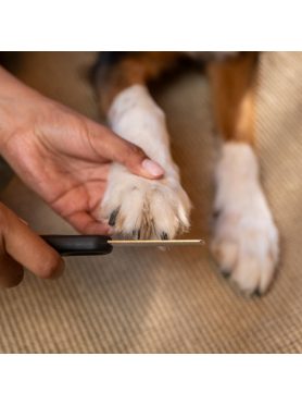 Пилочка для когтей PET FISKARS 