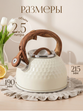 Чайник со свистком PERFECTO LINEA Masala 2,5 л 